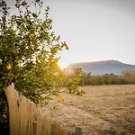 Boem In Nafpliο