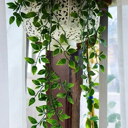 Boem In Nafpliο * Νέα Κίος