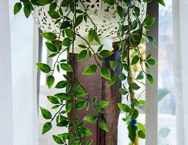 Boem In Nafpliο * Néa Kios